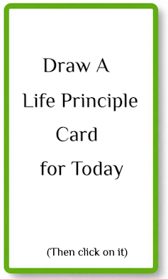 Draw a Life Principle